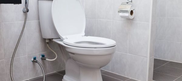 Kit douchette wc toilettes bidet hygiénique - Kit douchette WC